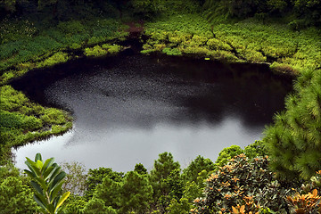 Image showing  lake   plant tree and hill