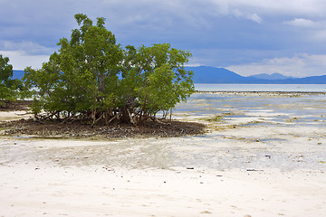 Image showing nosy be    sand lagoon  water