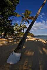 Image showing madagascar nosy be  sand lagoon