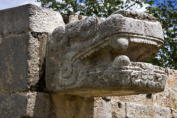 Image showing mexico  skull snake 