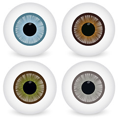Image showing Eye ball set