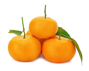 Image showing Fresh ripe tangerines with green leaves isolated on white backgr