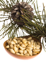 Image showing Pine nuts