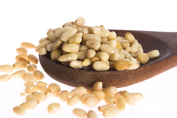 Image showing Pine nuts