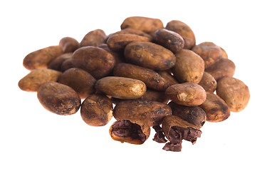 Image showing Cacao beans isolated on white background