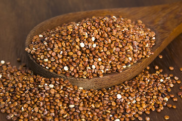 Image showing Quinoa grain