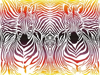 Image showing Zebra abstract pattern background 