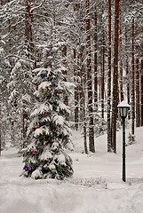 Image showing New year's tree.