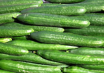 Image showing Cucumber