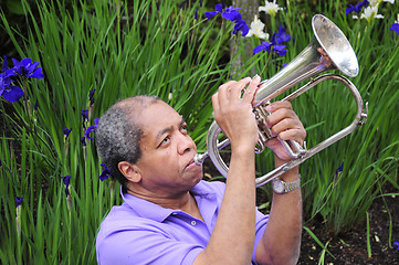 Image showing Jazz musician.