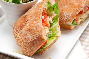 Image showing ciabatta panini sandwich with chicken and tomato