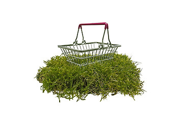 Image showing Shopping basket on green moss