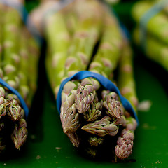 Image showing fresh seasonal asparagus on market 