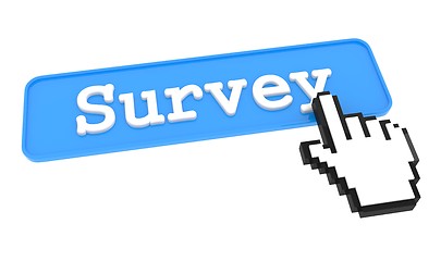 Image showing Survey Button.