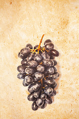 Image showing bunch of grapes on old paper sheet
