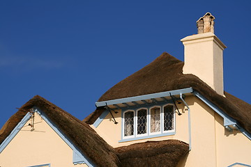 Image showing Thatched House