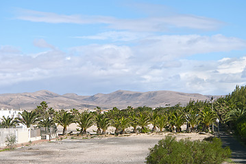 Image showing Fuerteventura