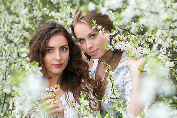 Image showing Two nice caucasian ladies