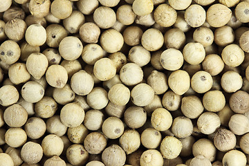 Image showing White pepper