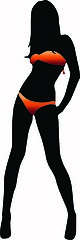 Image showing Bikini woman silhouette