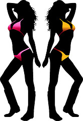 Image showing Bikini woman silhouette