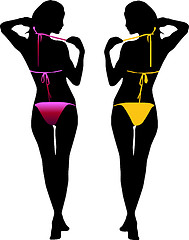 Image showing Bikini woman silhouette