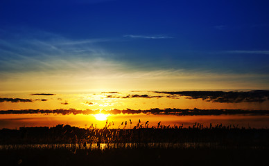 Image showing sunset over river with canes