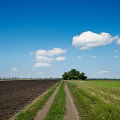 Image showing rural road to horizon under cloudy sky