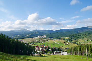 Image showing Beautiful green mountain landscape with trees in Carpathians