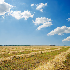 Image showing harvest in windrows and sunny sky with clouds