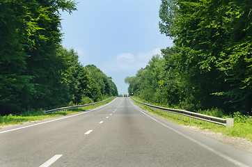 Image showing road in wood