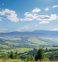 Image showing Carpathian mountains in summer