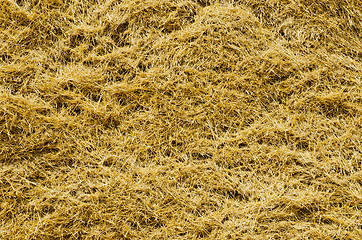 Image showing View to straw closeup as background