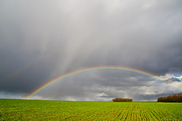 Image showing natural rainbow over green field