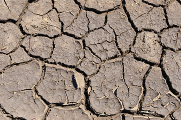 Image showing dry earth as texture