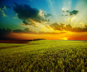 Image showing sunset with dramatic sky over agricultural green field