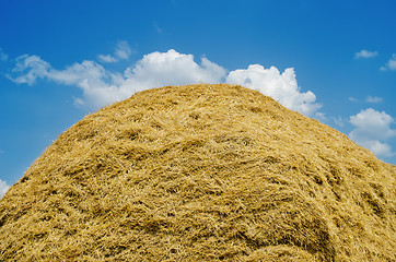 Image showing Straw heap under cloudy sky