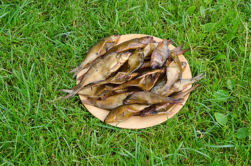 Image showing fresh smoked health ecologic fish dish green grass 