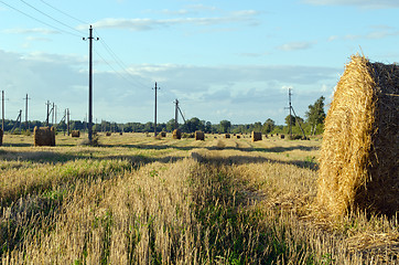 Image showing straw bales field electric wire poles autumn sky 