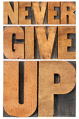 Image showing never give up in wood type