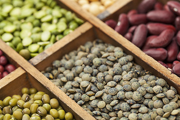 Image showing French green lentils