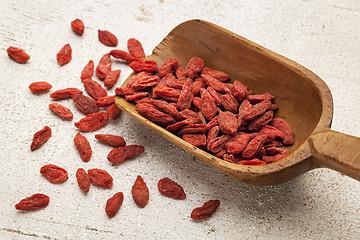 Image showing Tibetan goji berry scoop