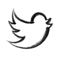 Image showing bird icon