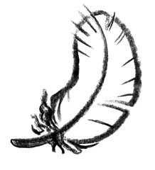 Image showing feather icon