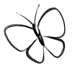 Image showing butterfly icon