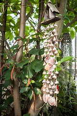 Image showing Home garden blinds made by various shell 