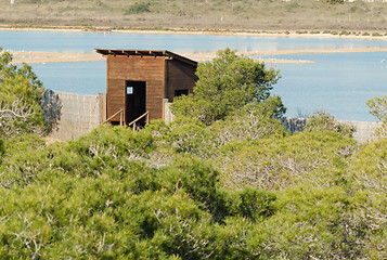 Image showing Birdwatching hideout