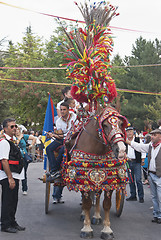 Image showing traditional sicilian horse-cart