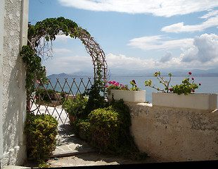 Image showing flowers over the sea