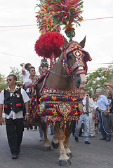 Image showing traditional sicilian horse-cart